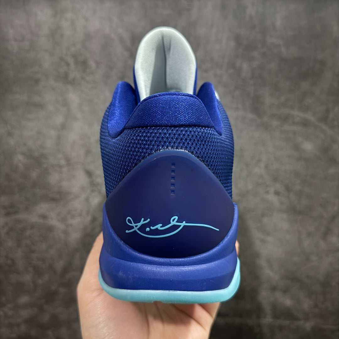 KOBE 5 PROTRO - XRAY